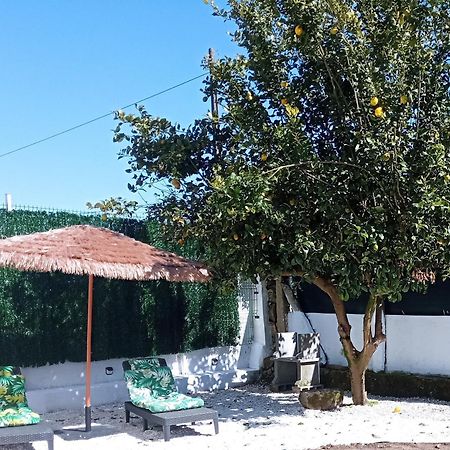 Padrón Casa Amelia 1ªp A 50 M Camino De Santiagoヴィラ エクステリア 写真