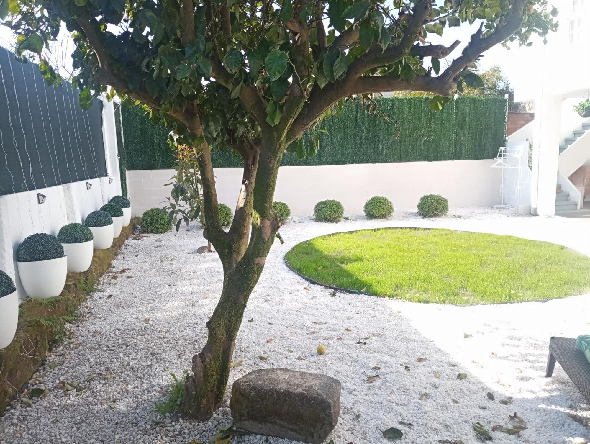 Padrón Casa Amelia 1ªp A 50 M Camino De Santiagoヴィラ 部屋 写真